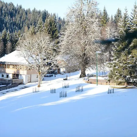 Urlaubsalm Kreuth 6